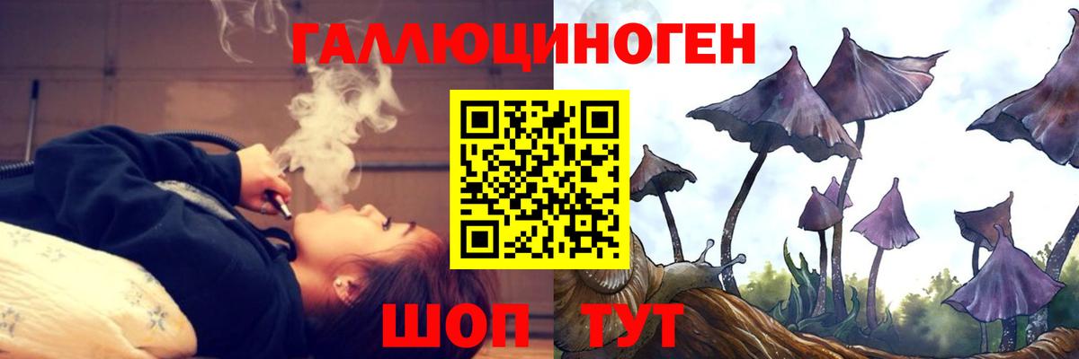 Железногорск  Псилоцибиновые грибы Psilocybe  где купить   Галлюциногенные грибы Psilocybe  Вход с VPN 